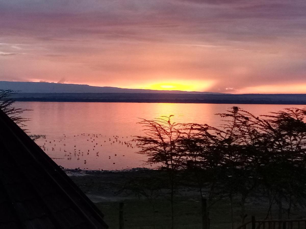 Sirville Lake Elementaita Lodge Gilgil Extérieur photo